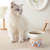 KUTKUT 2 Set Ceramic Small Dogs Food Or Water Bowl, Raised Cat Feeder Dishes with Stand, Elevated Pet Food Bowl for Cats and Small Dogs, Stress Free Backflow Prevention & Anti Vomiting - kutk